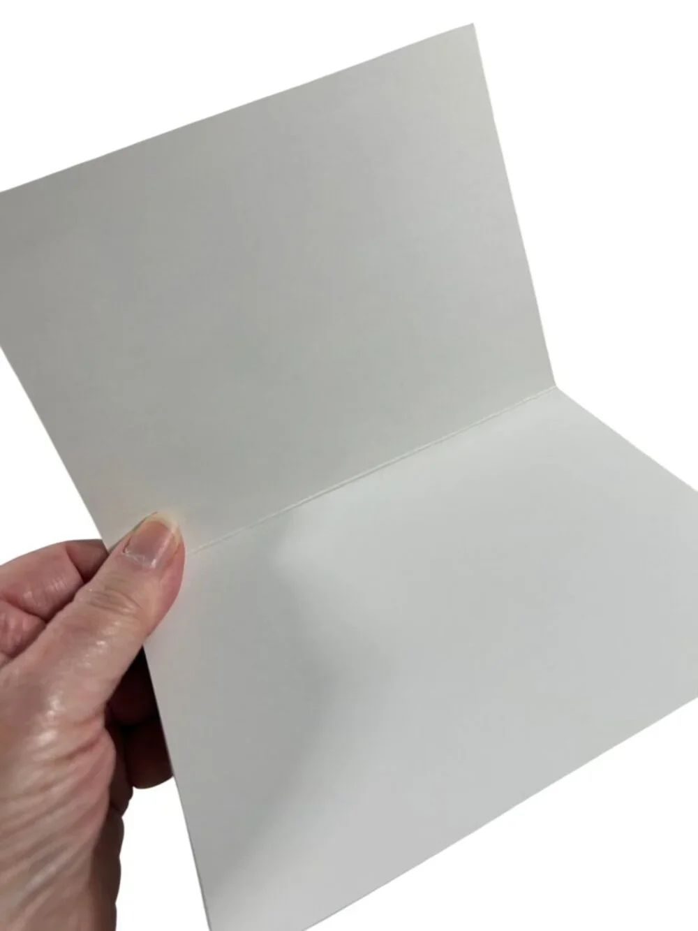 Creative Papers Salmon Lodge 9 Blank Notecards 3D Fish Bear Wildlife Box